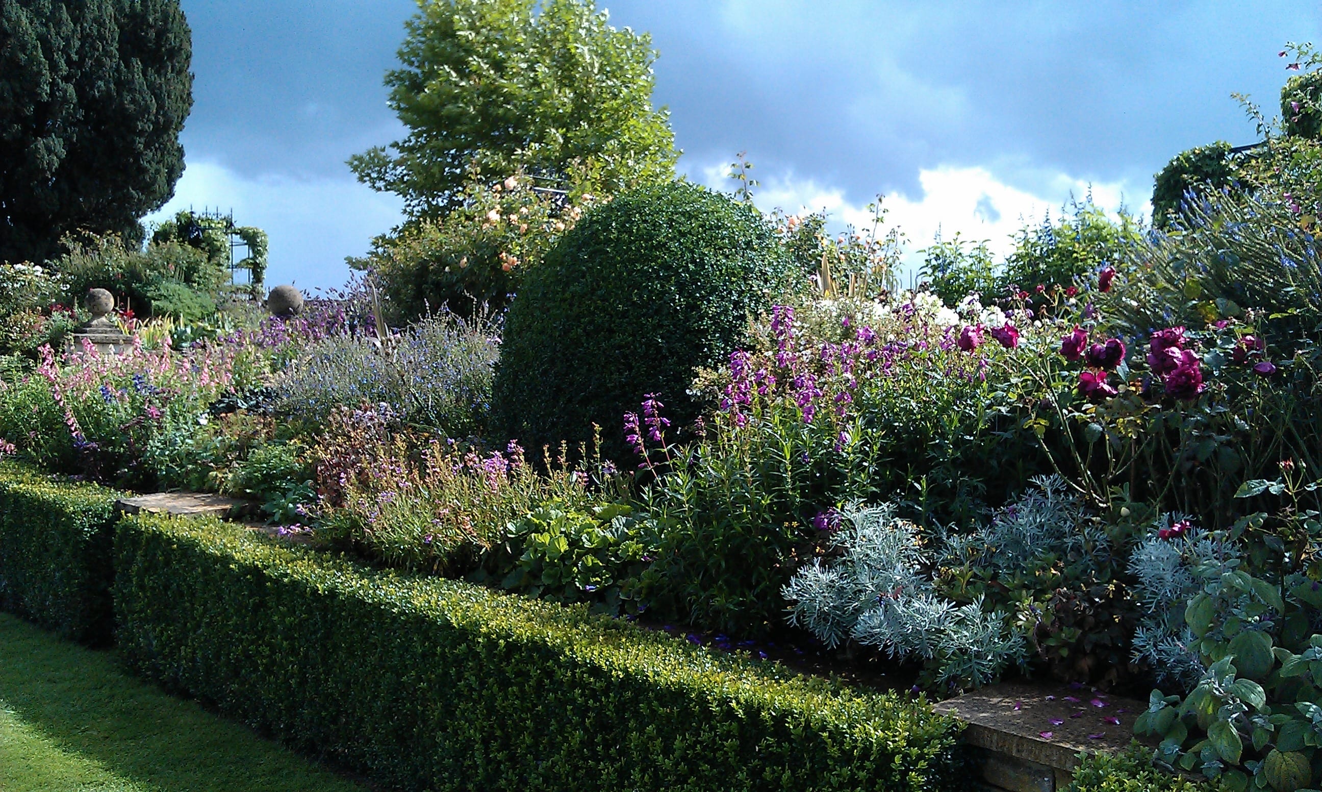Twitter English Cottage Garden