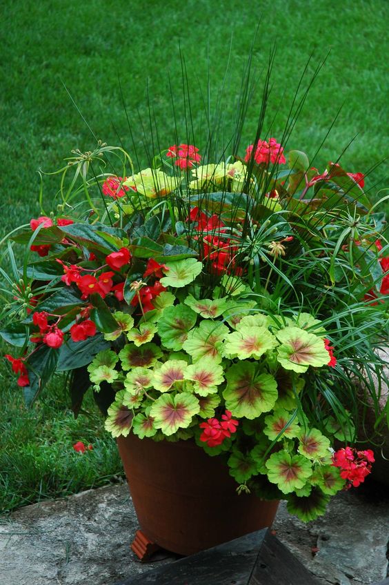Springseasoncontainergardenideas