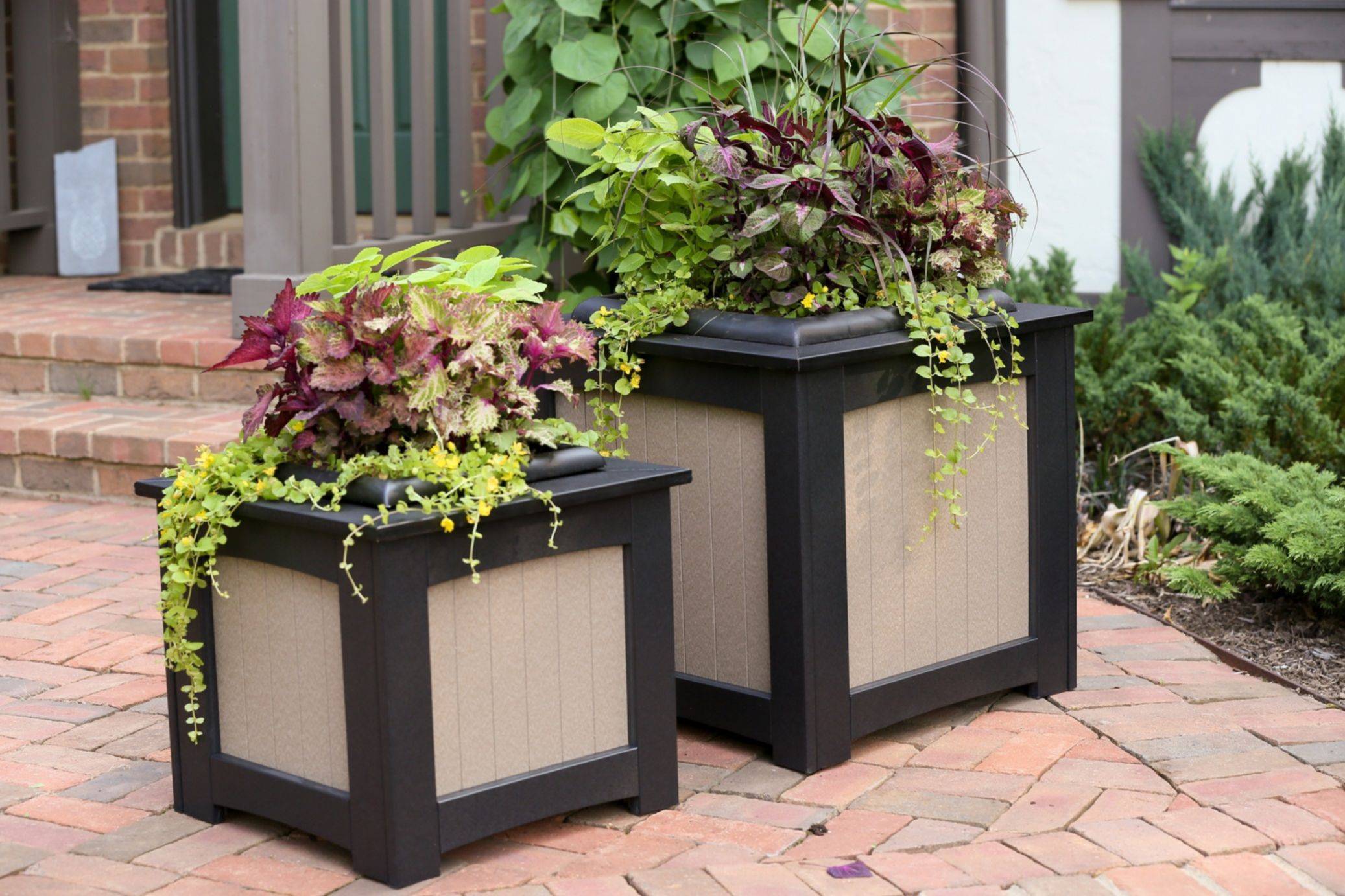 Container Pots Flowers Ideas Container Gardening Flowers