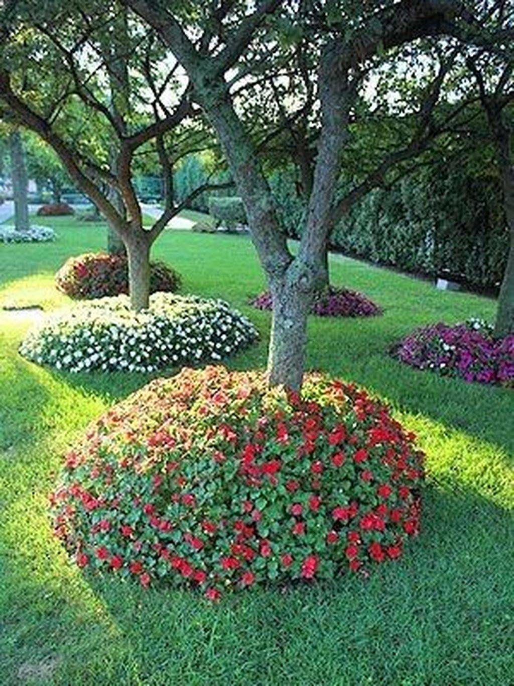 Flower Garden Beds