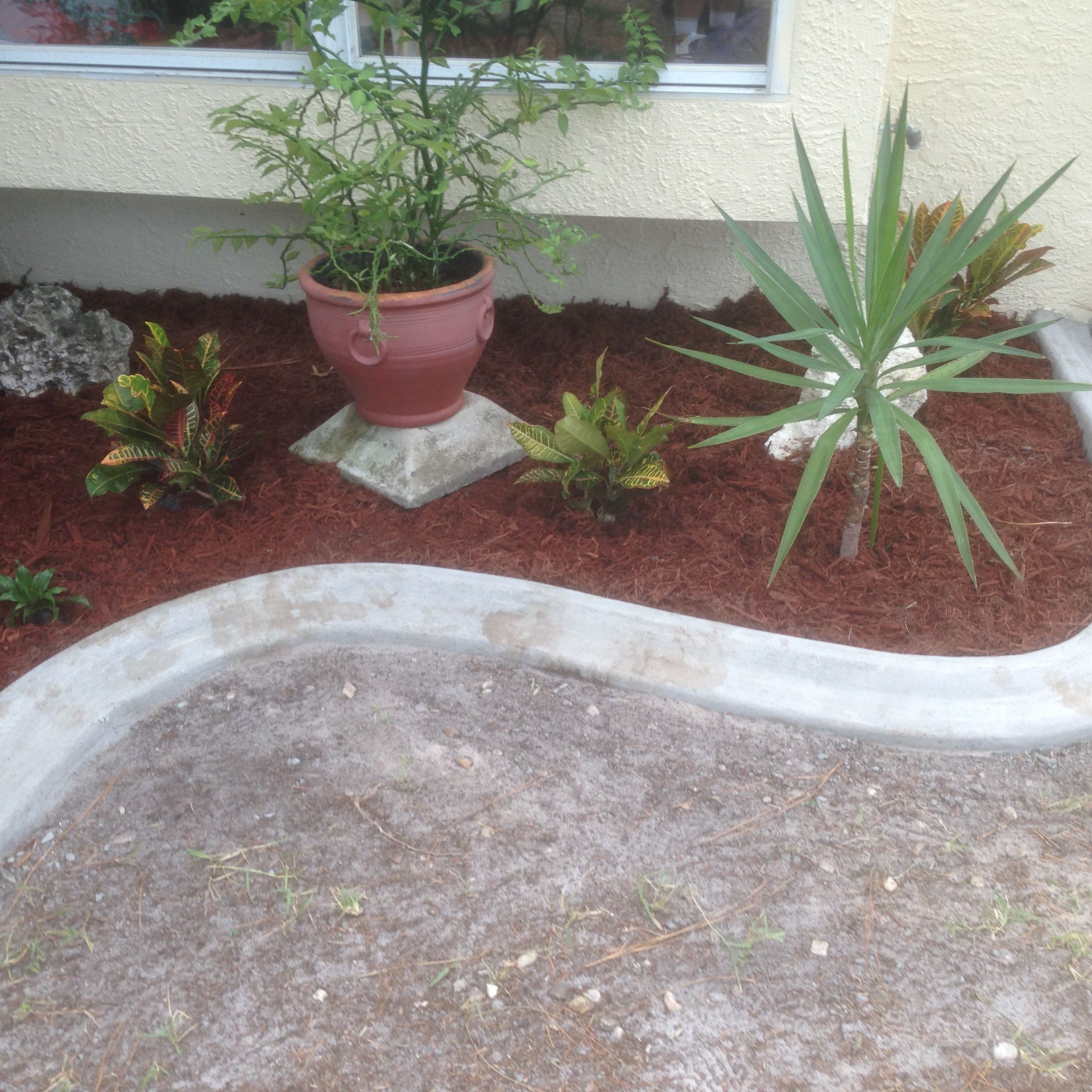 Diy Landscaping Curb Concrete Landscape