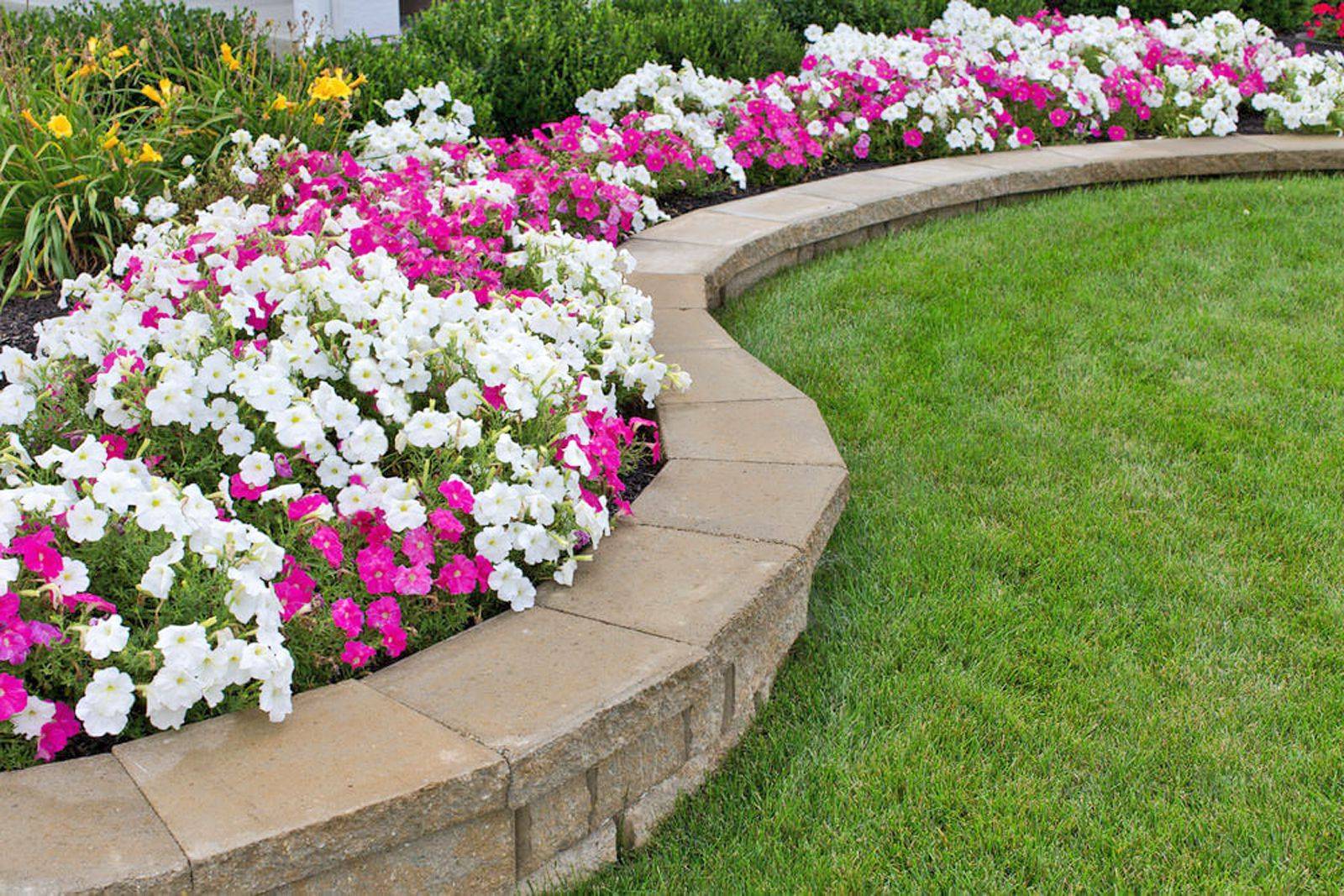 Flower Border Ideas