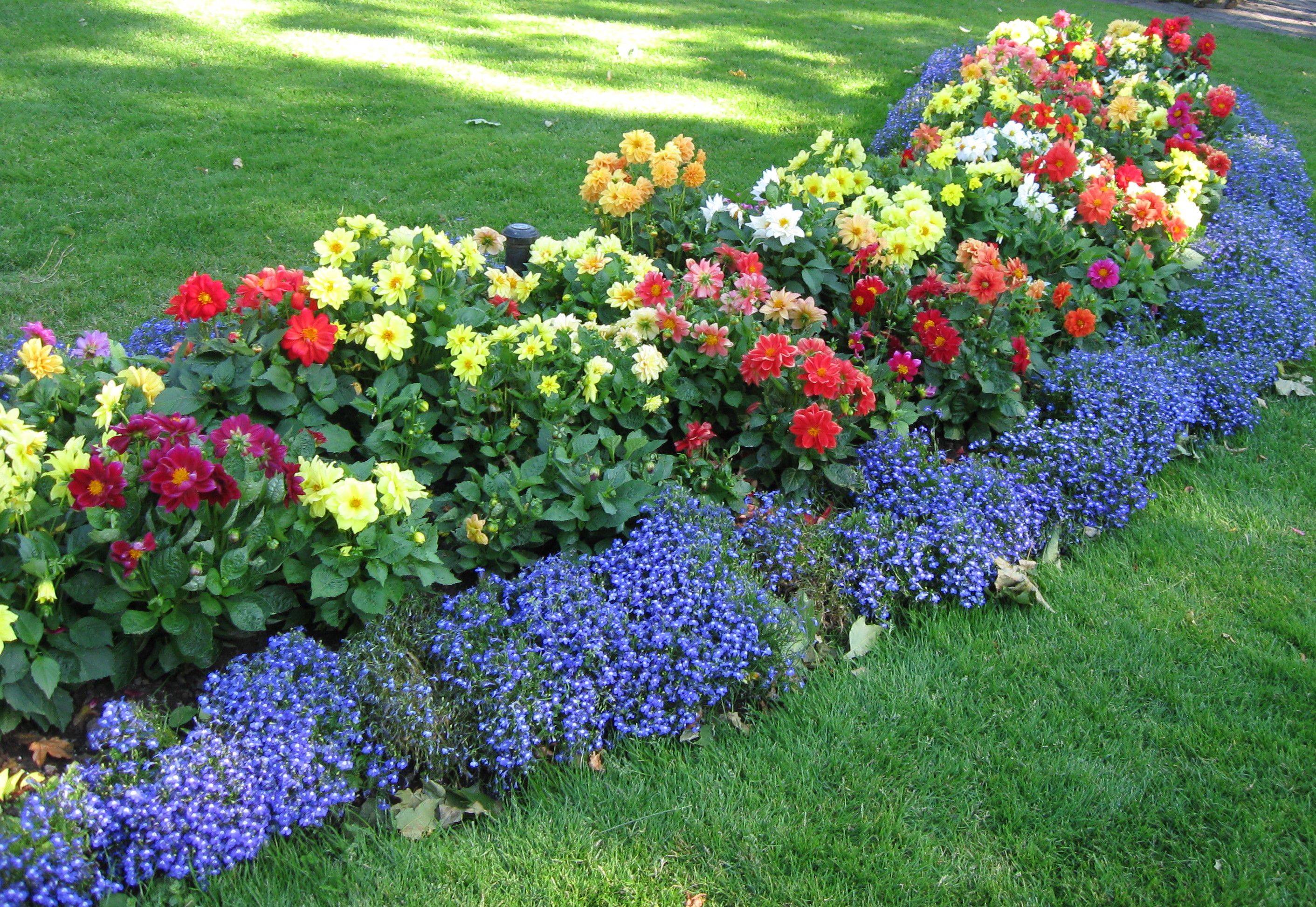 Garden Edging Ideas