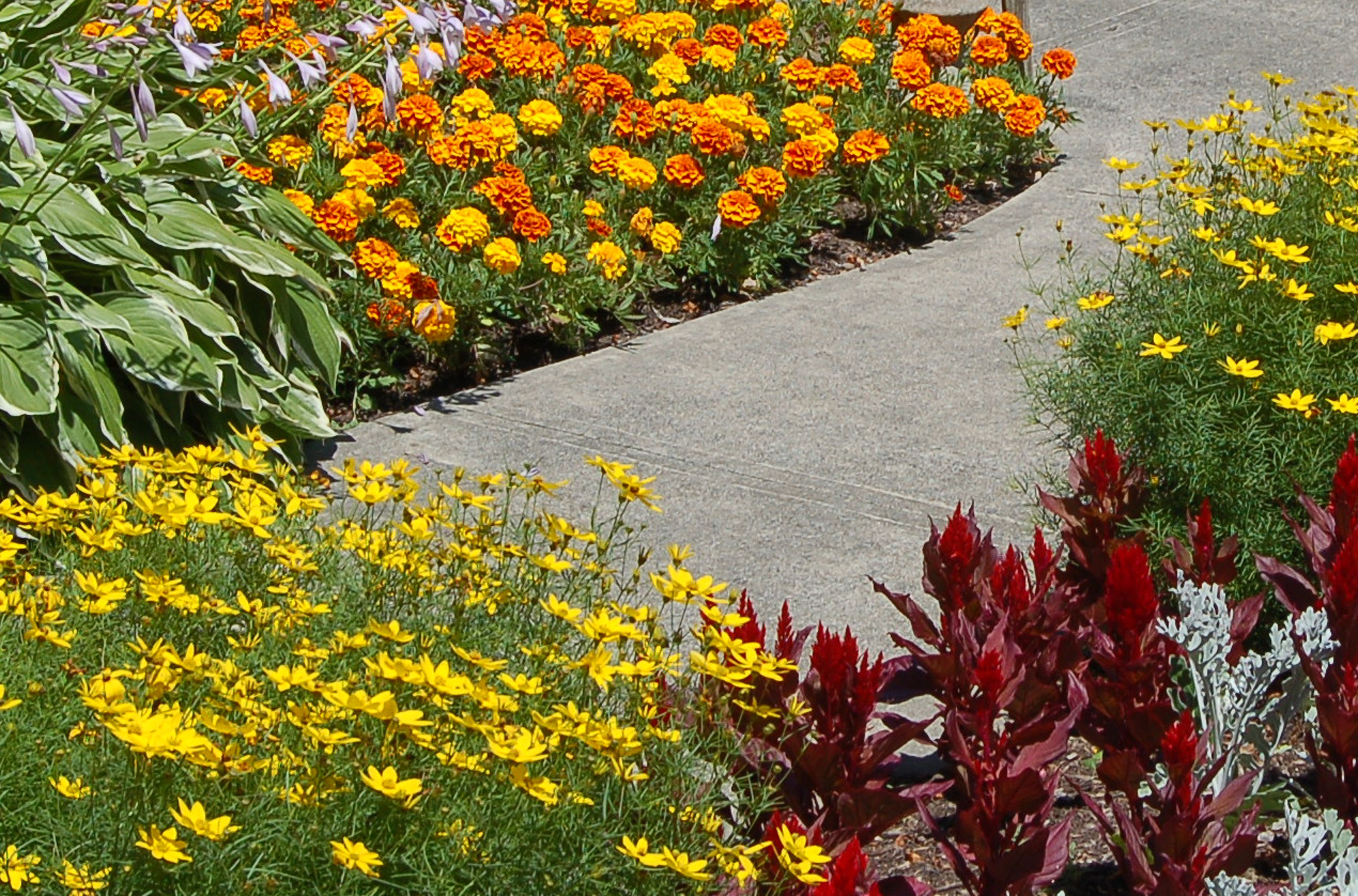 Garden Borders