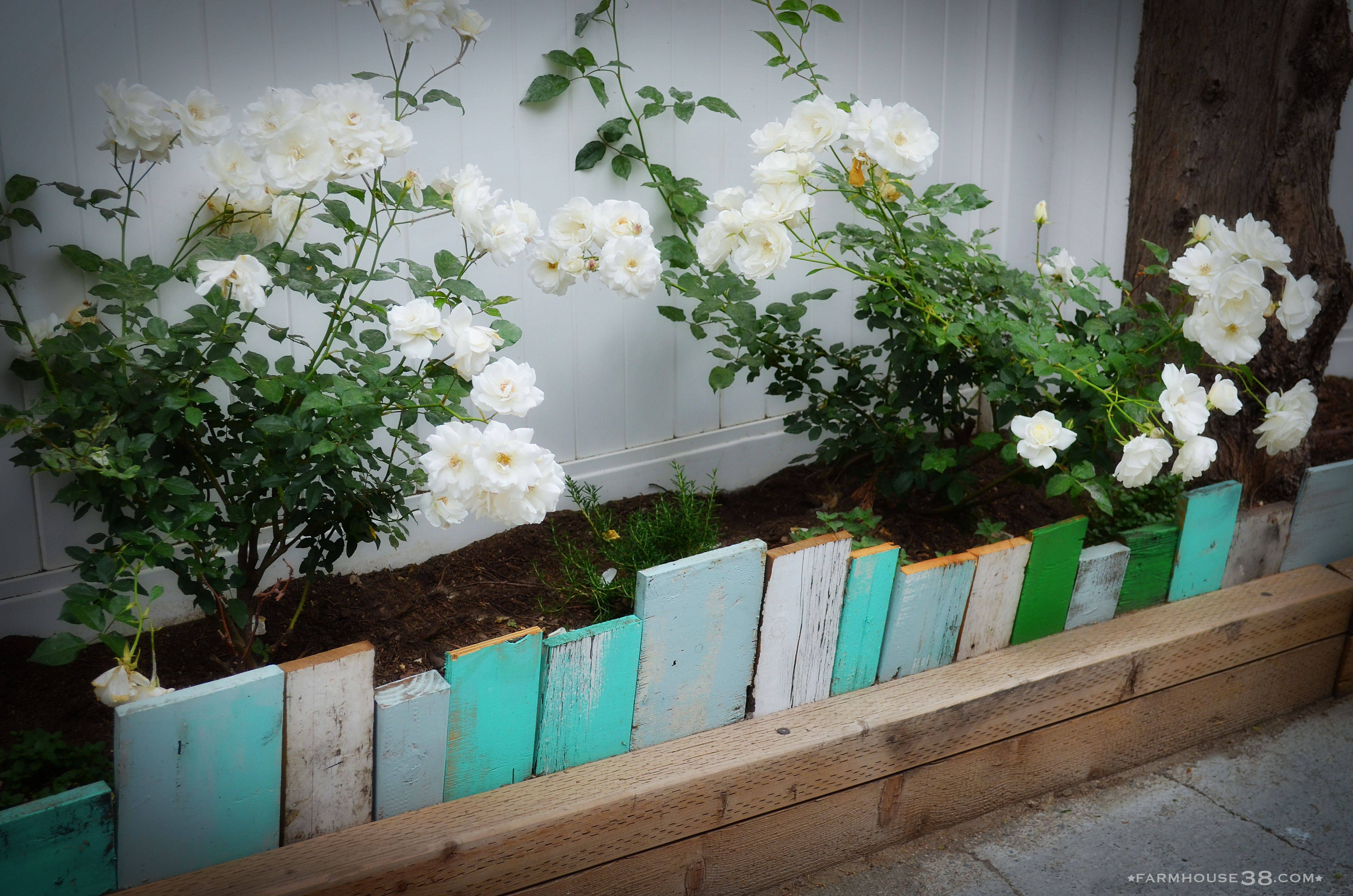 Garden Edging Landscape Ideas