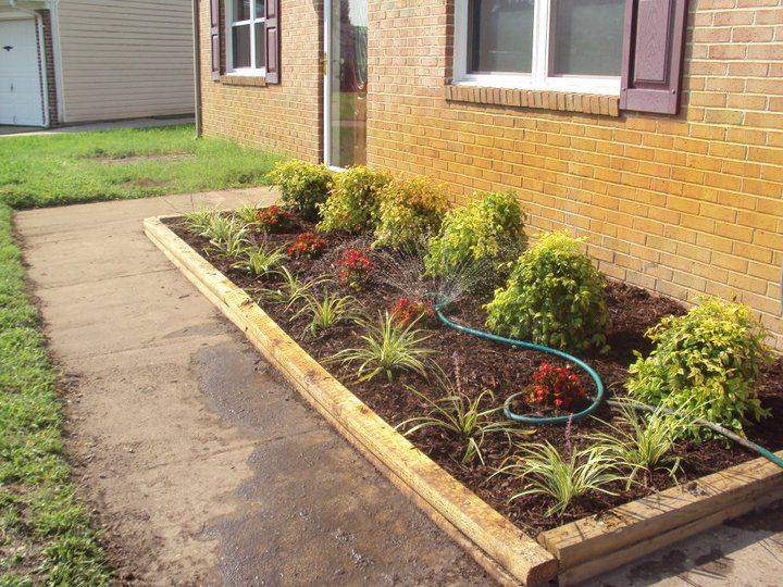 Eleven Interesting Garden Bed