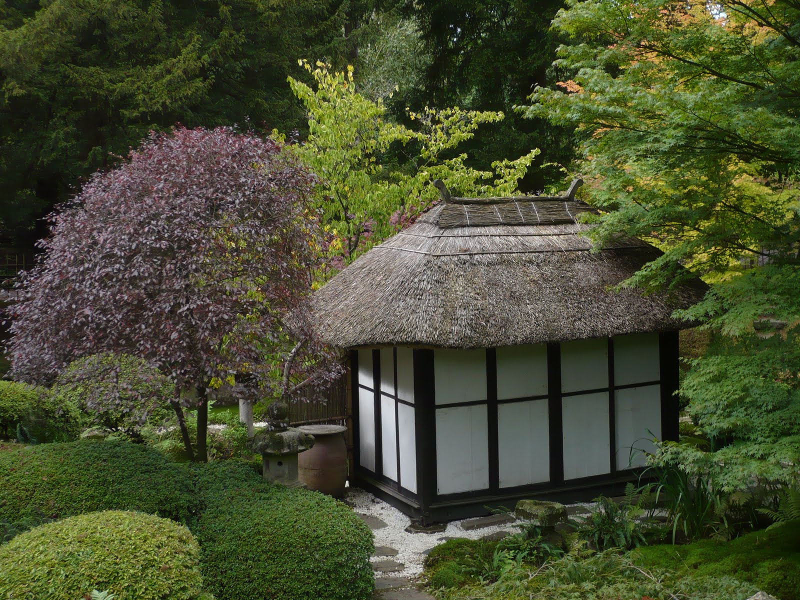 A Zen Japanese Garden