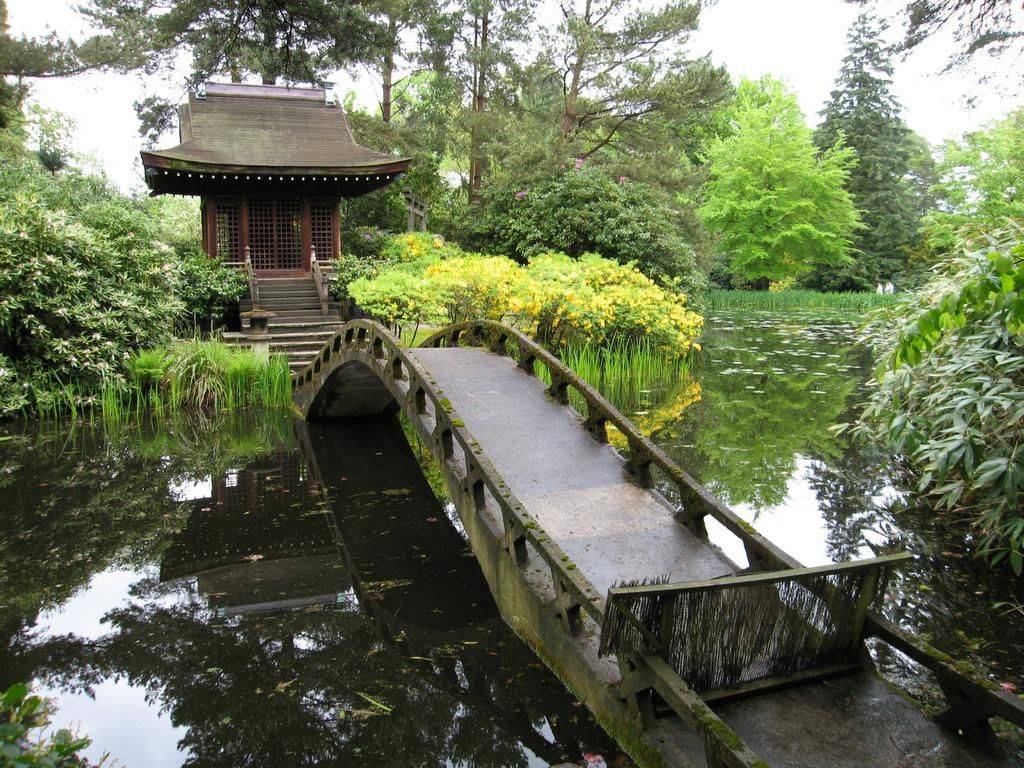 Wallpaper Japan Temple Garden Red Path Foliage Backyard Kyoto