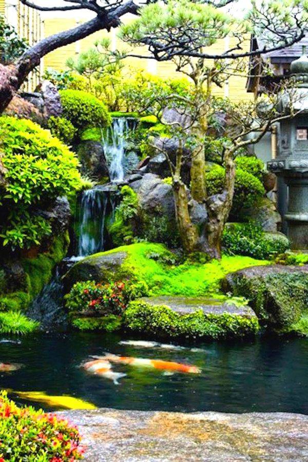 Small Japanese Garden