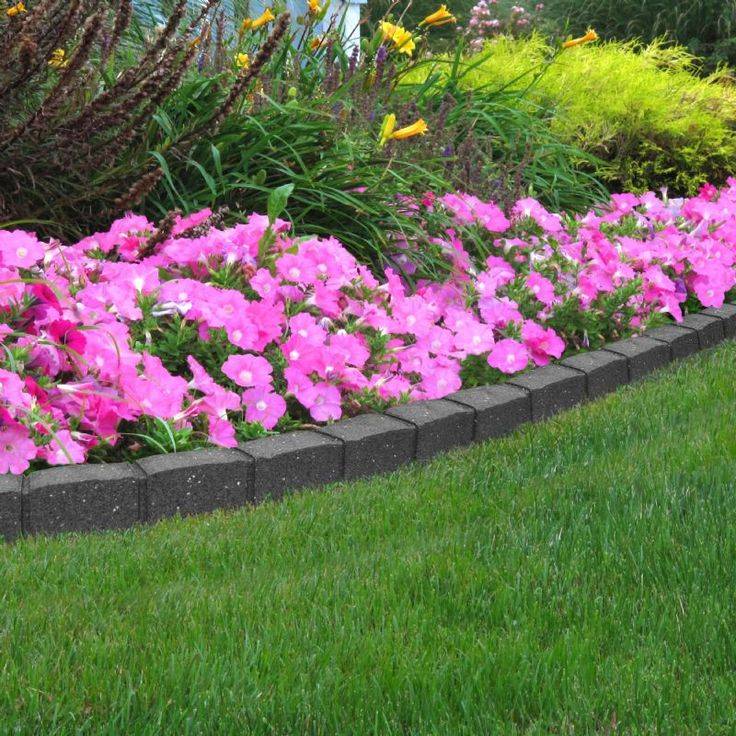 18 Flexi Curve Garden Border Ideas To Try This Year SharonSable