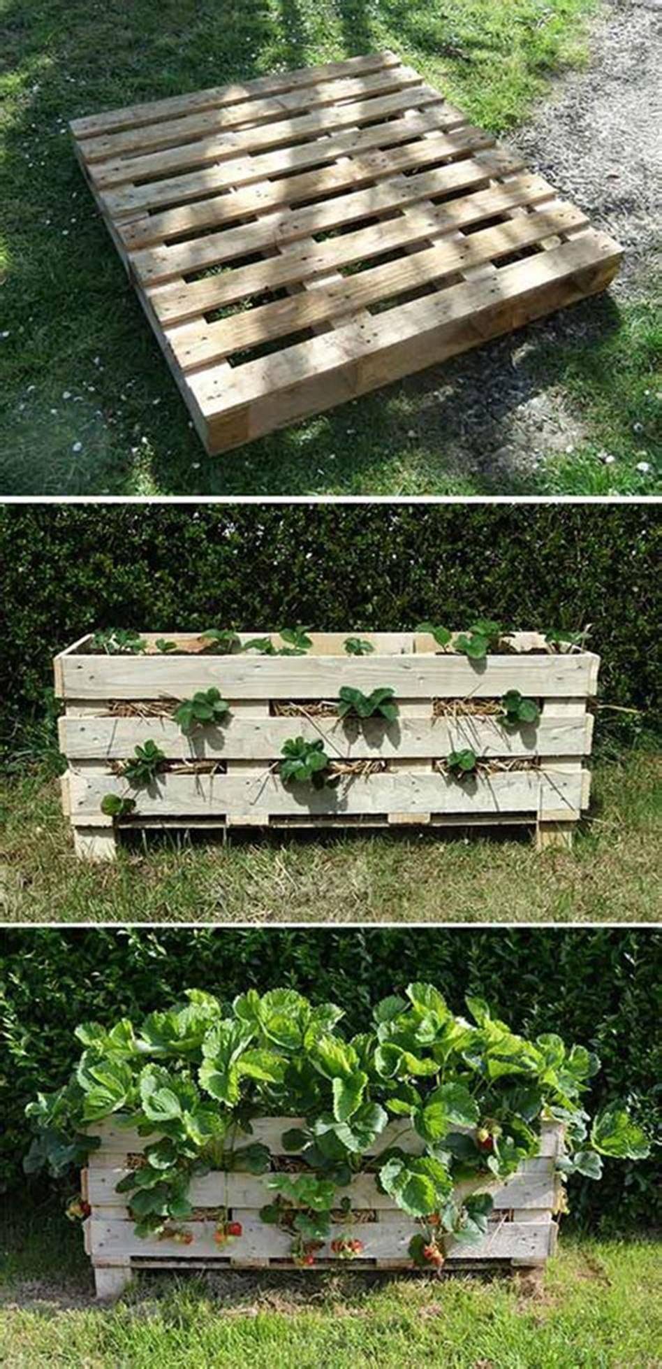 For Kids Giggles Vertical Pallet Garden Project