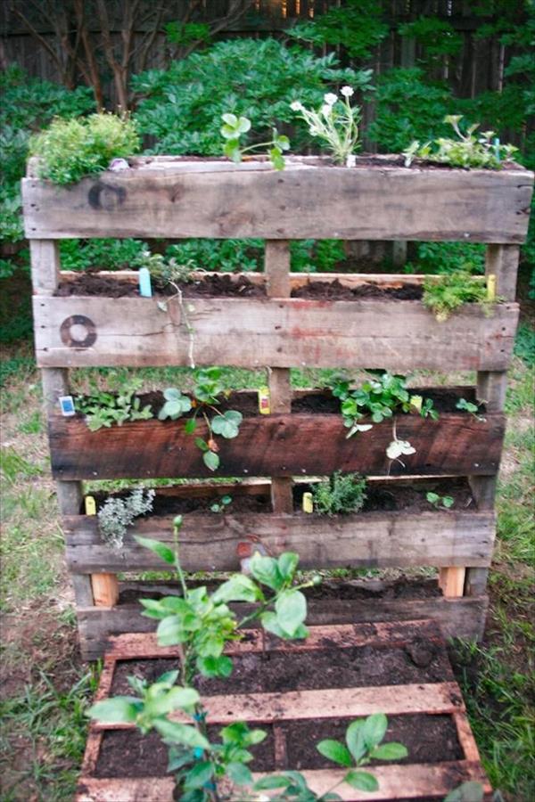 Gorgeous Diy Pallet Garden Ideas