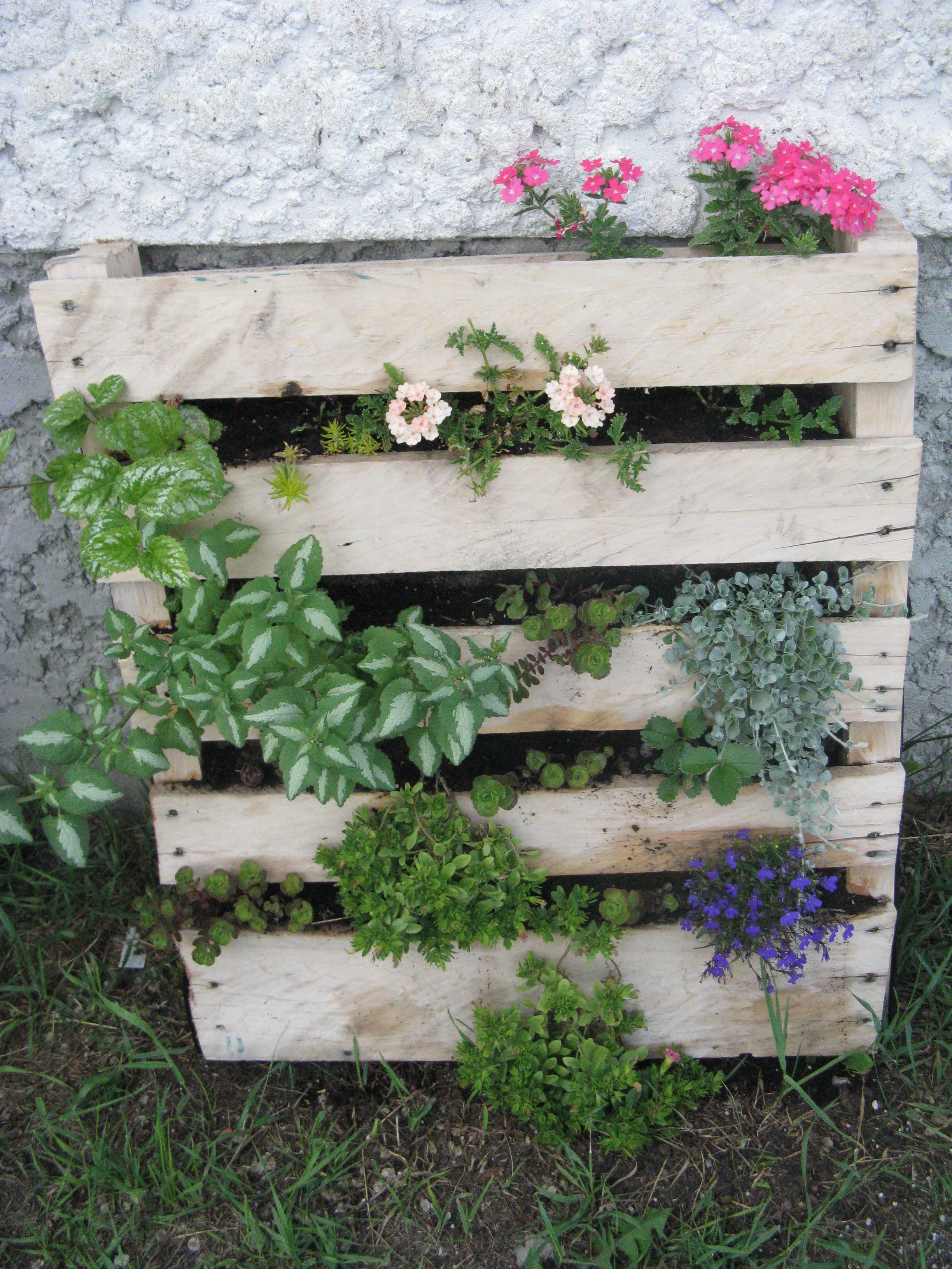 Wooden Pallets