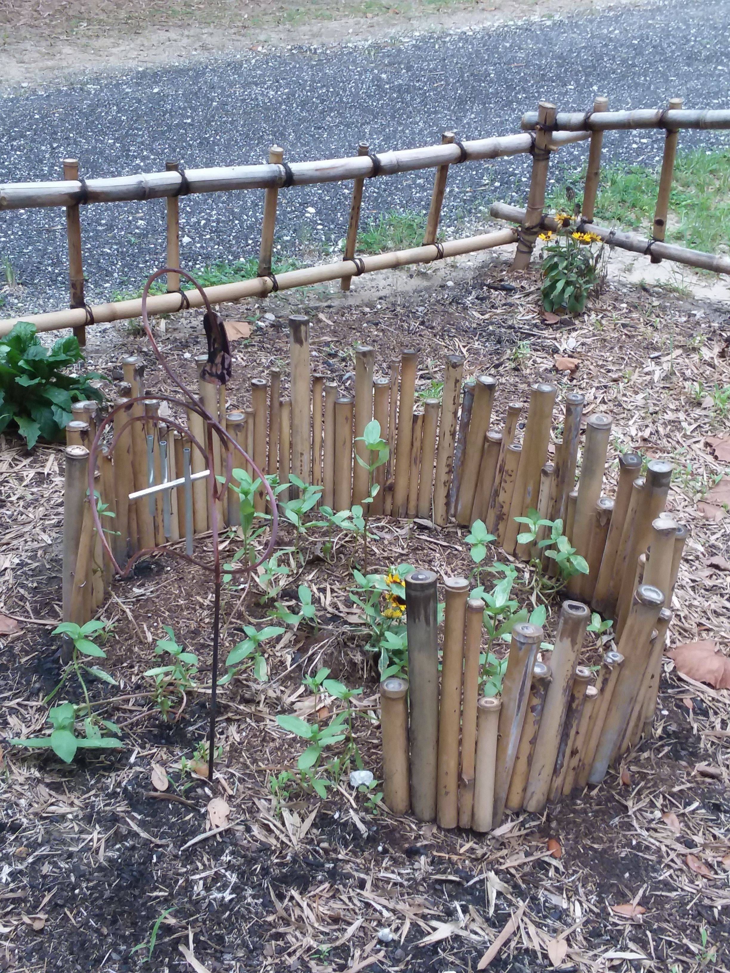 24 Bamboo Garden Edging Border Ideas To Consider SharonSable