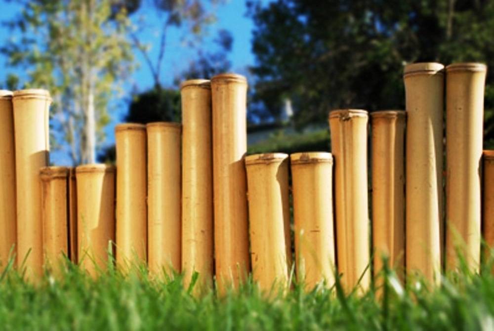 24 Bamboo Garden Edging Border Ideas To Consider SharonSable