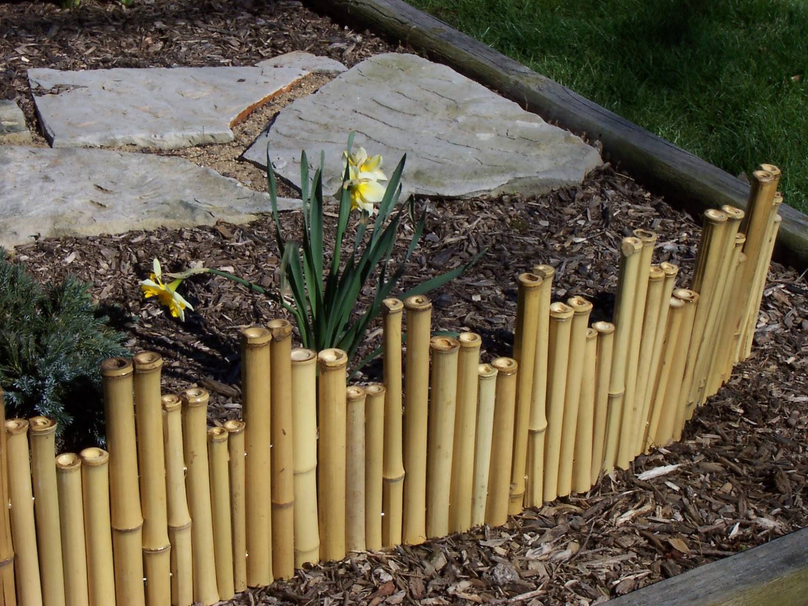 24 Bamboo Garden Edging Border Ideas To Consider SharonSable