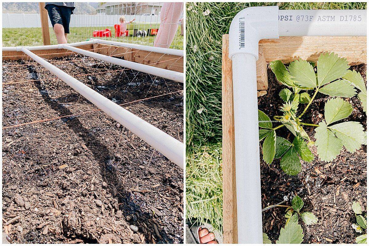 15 PVC Pipe Garden Edging Ideas You Cannot Miss SharonSable