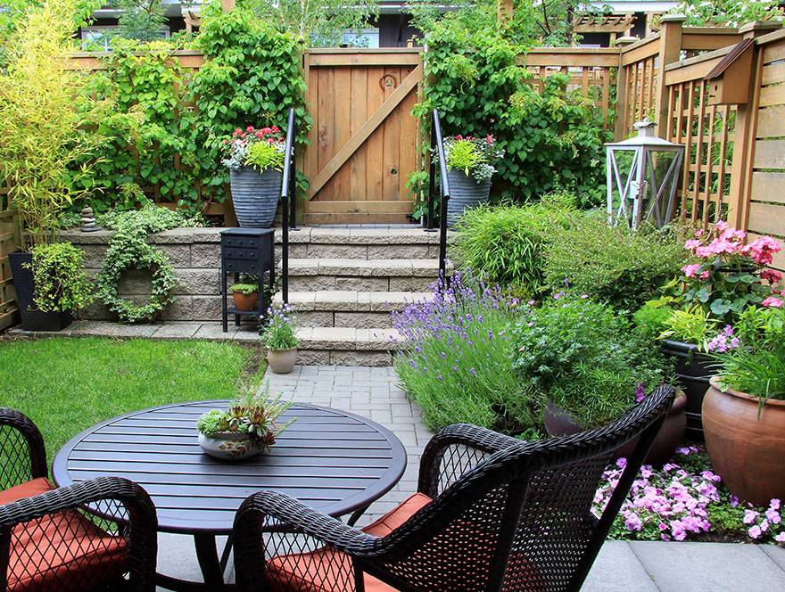 Cute Summer Garden Pictures