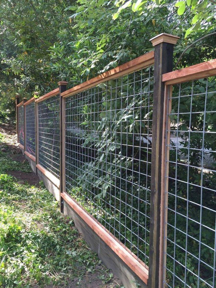 Simple Diy Cheap Privacy Fence Design Ideas Diy Garden Fence
