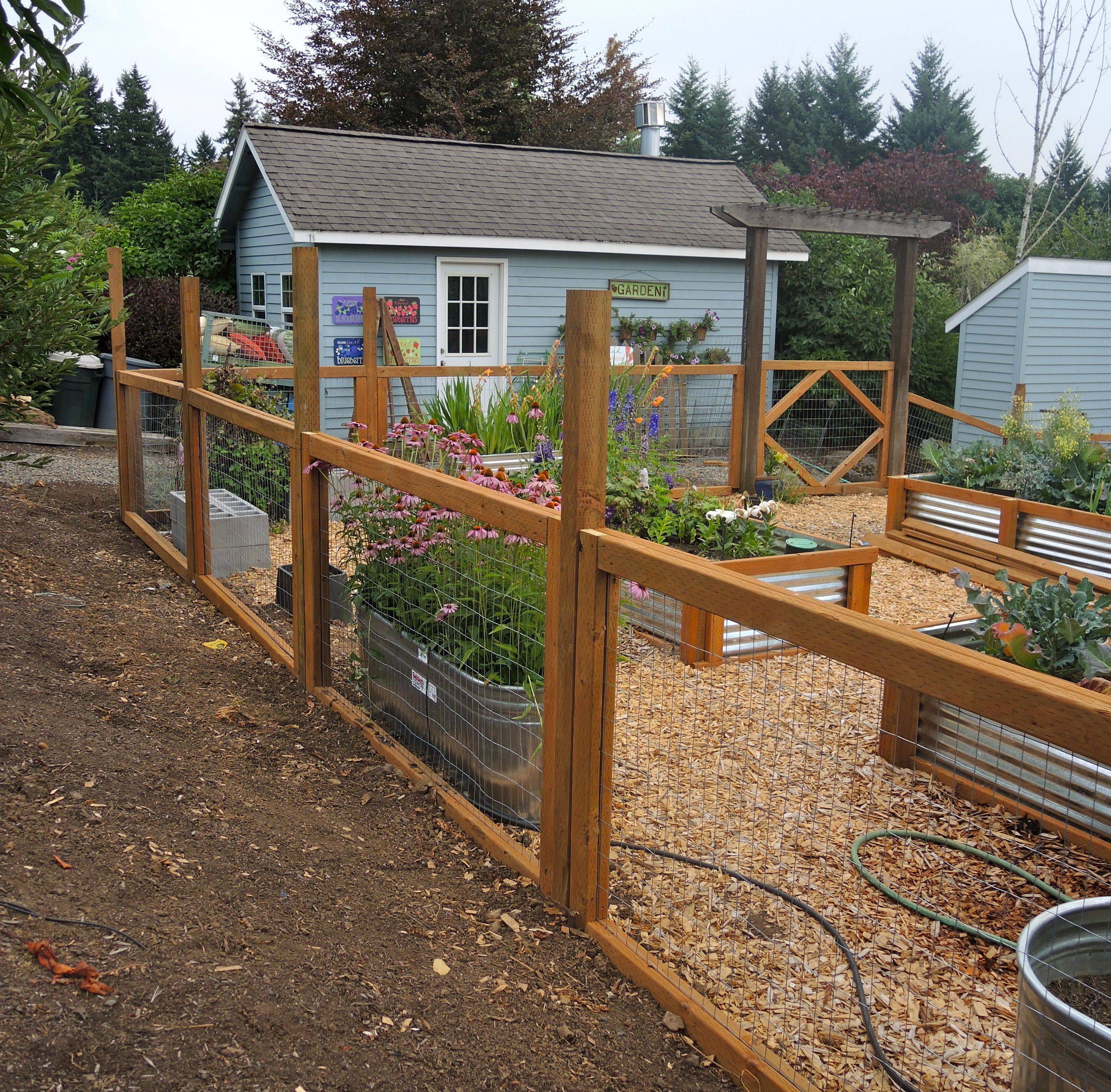 Plastic Garden Fence Design Ideas