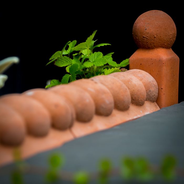 20 Terracotta Rope Edging for Garden Ideas You Cannot Miss SharonSable