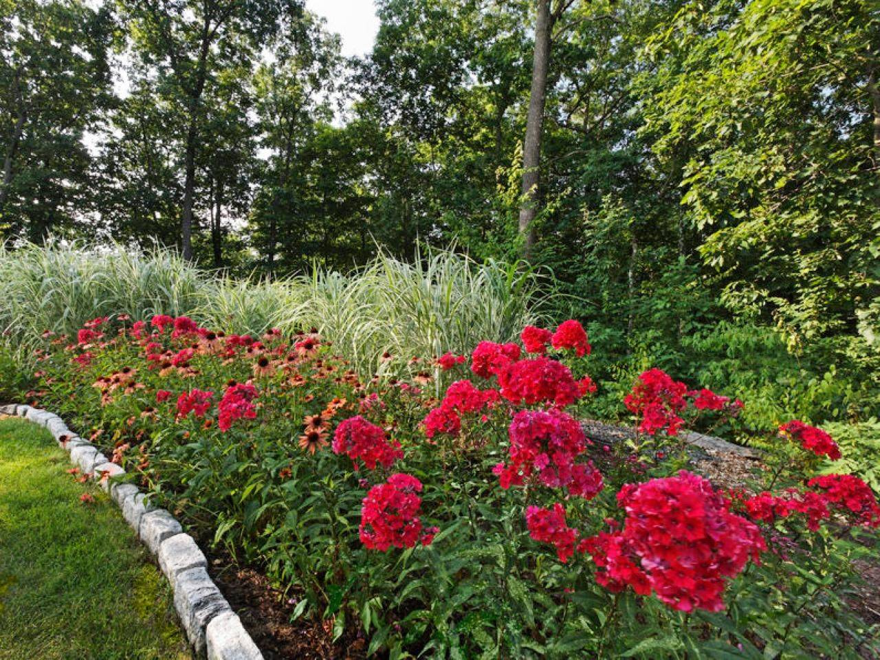 Best French Country Garden Images