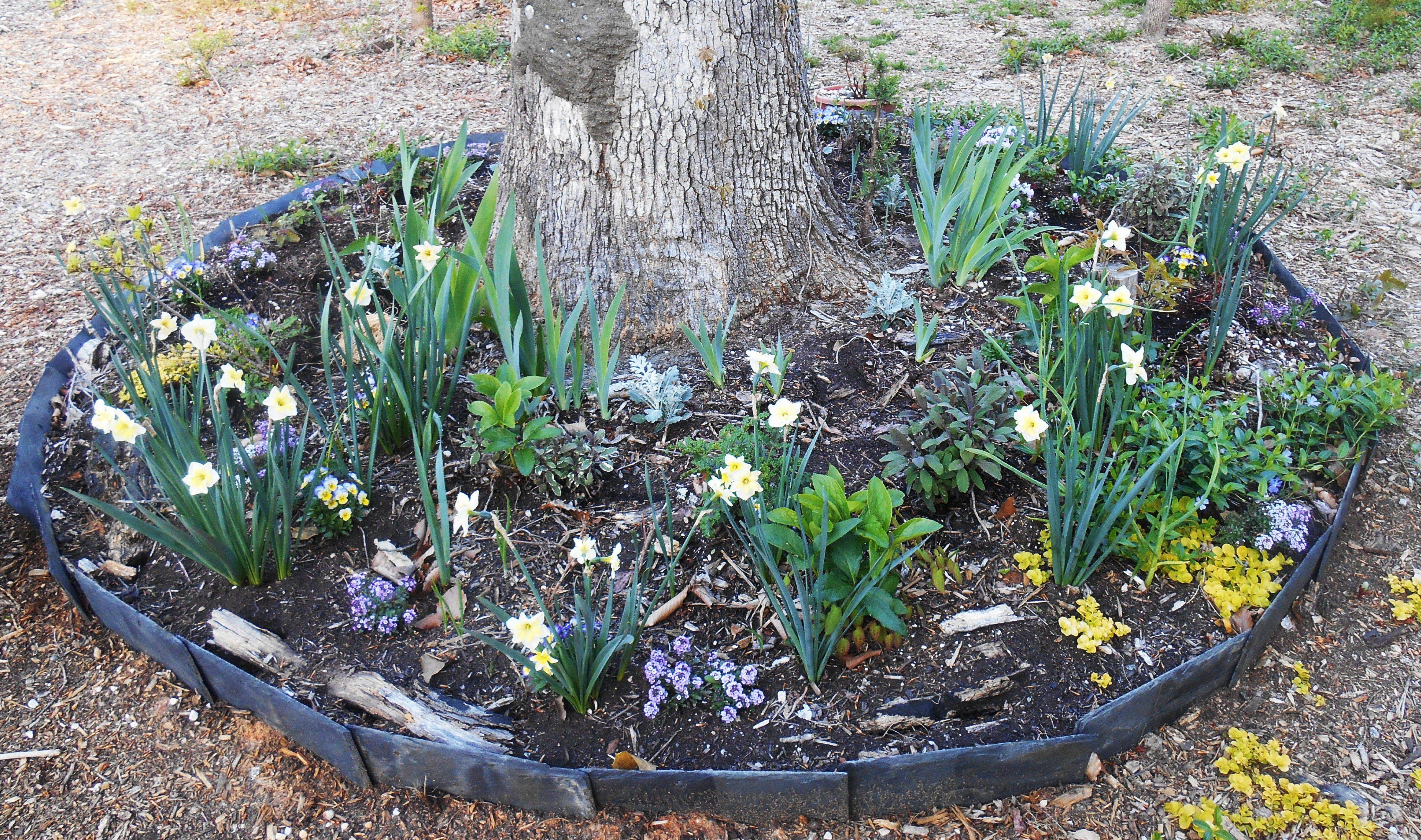 Eleven Interesting Garden Bed