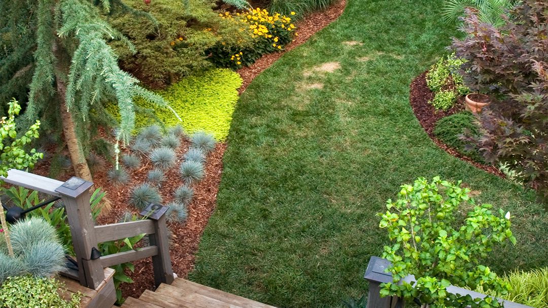 Easy And Low Maintenance Front Yard Landscaping Ideas Anchordecocom