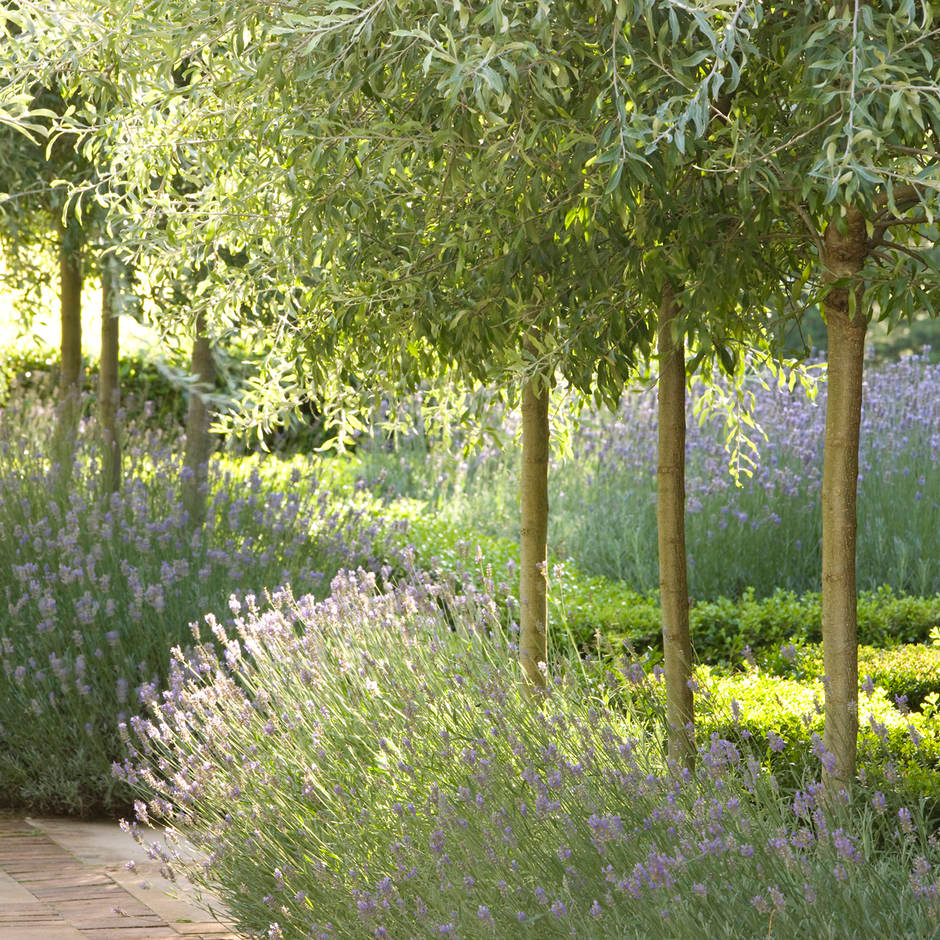 25 Peter Fudge Garden Ideas You Cannot Miss SharonSable