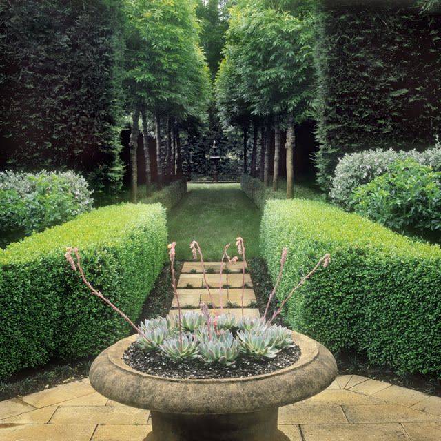 Contemporary Garden Design