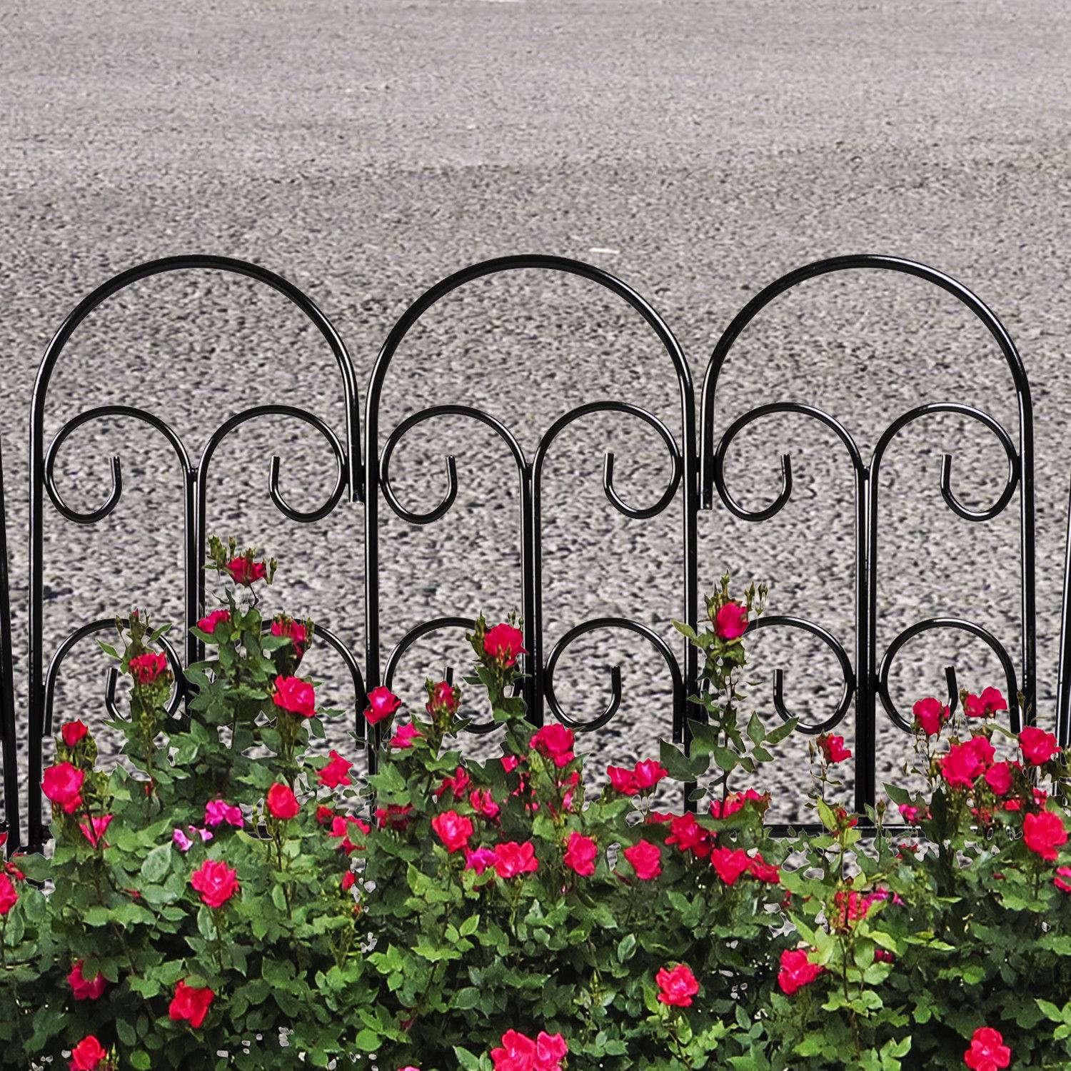 Your Backyard Plants