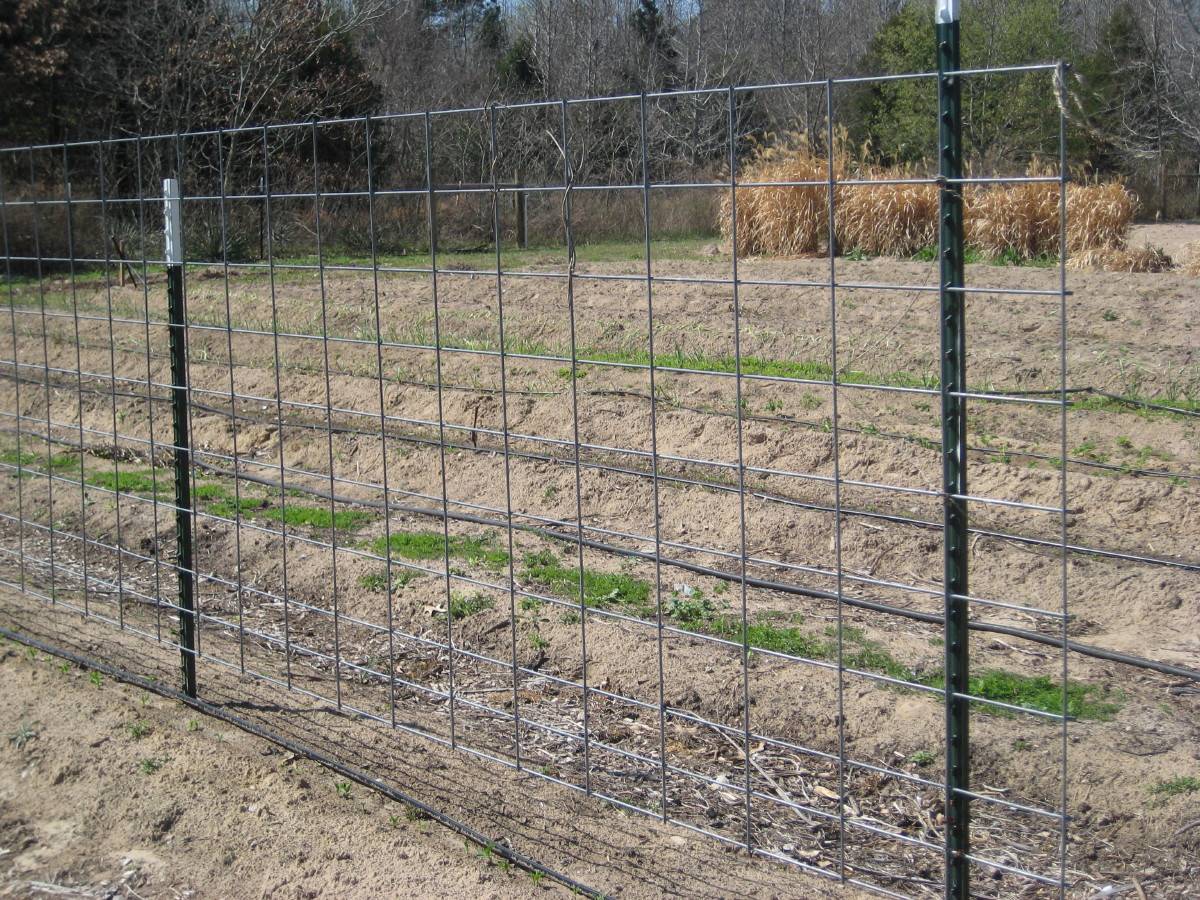 Wire Fencebuild