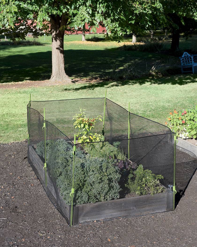 Best Wire Fence Ideas