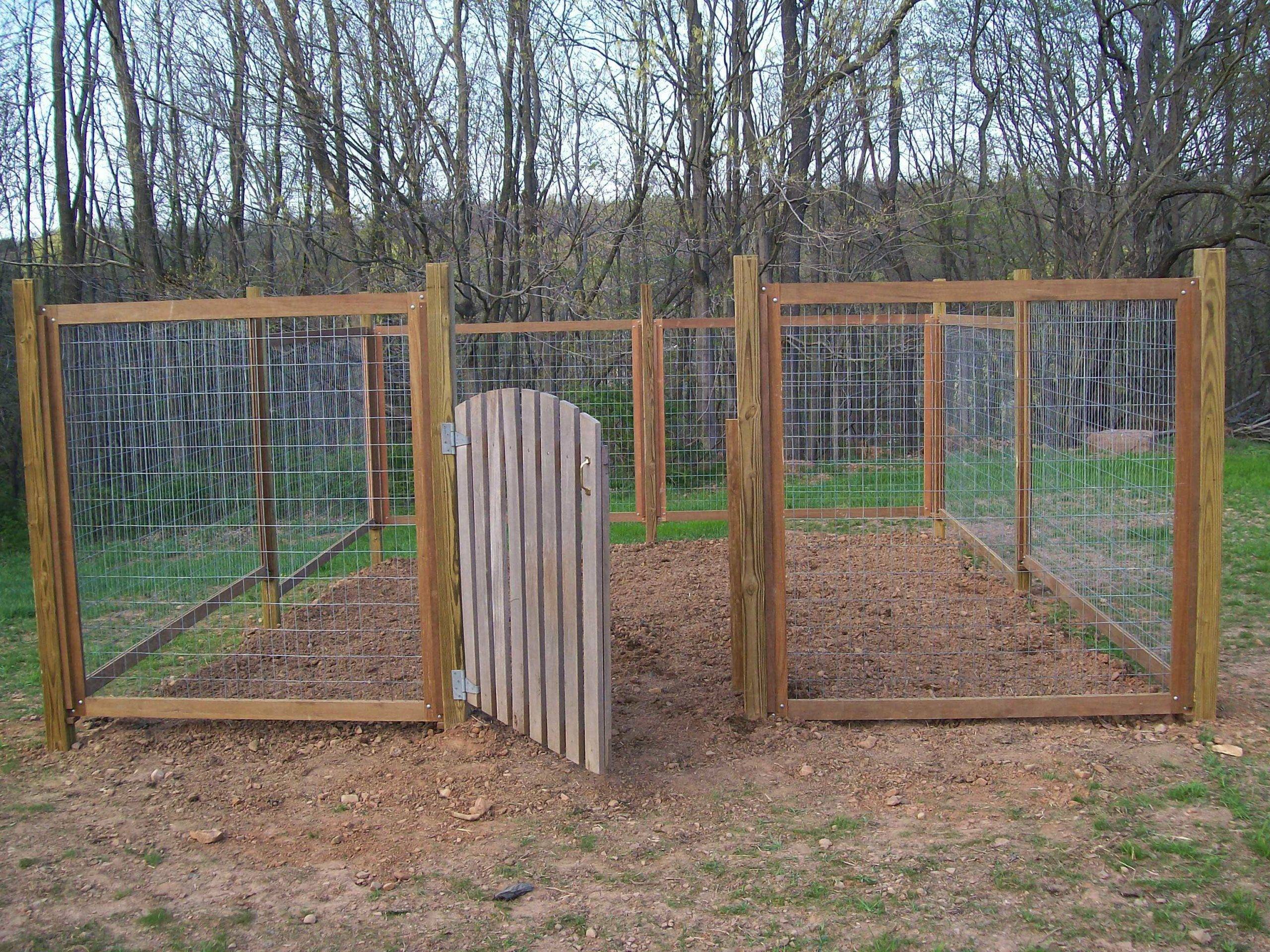 Wood Fences Diy Garden Fence