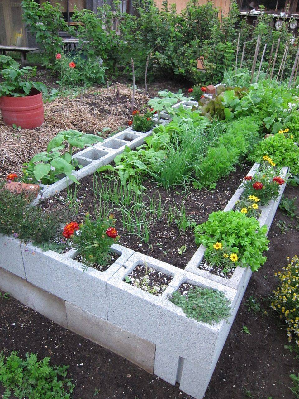 Easy And Colorful Container Garden Ideas Abchomy Cinder Block