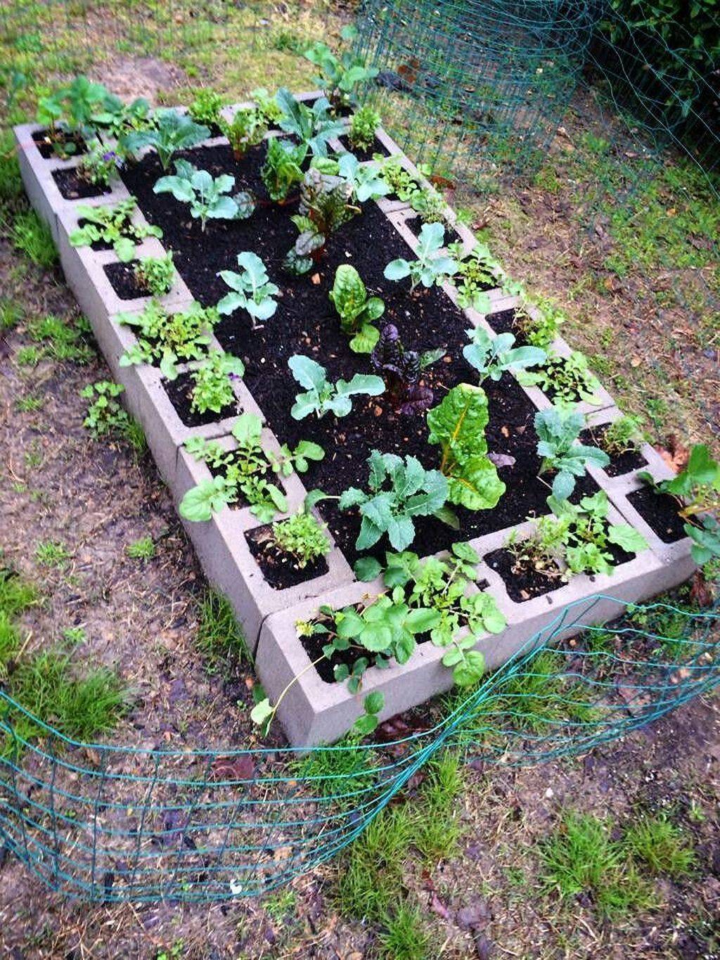 Creative Diy Cinder Block Garden Design Ideas
