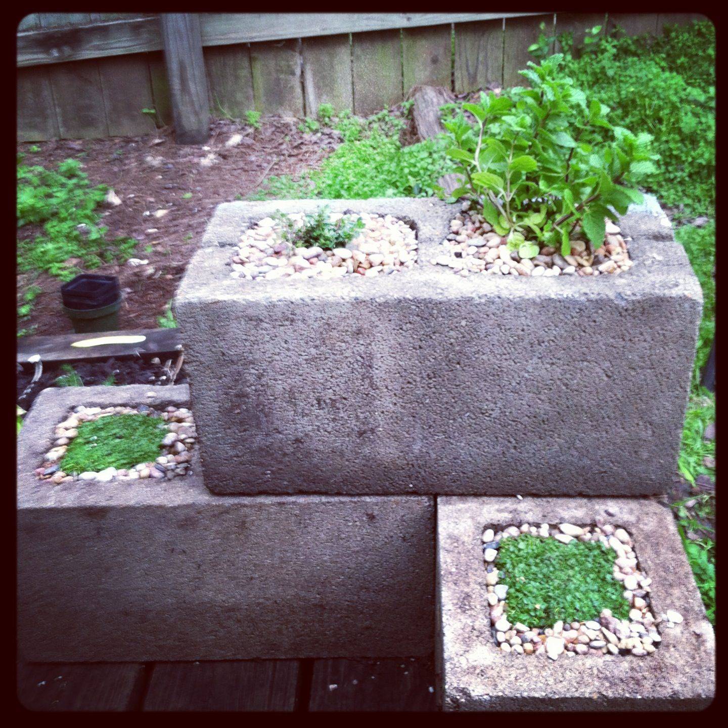 Cinder Block Garden