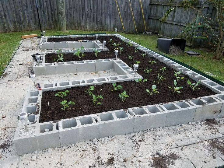 Best Cinder Block Garden Ideas
