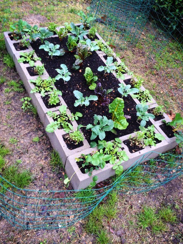 Easy And Inexpensive Garden Ideas