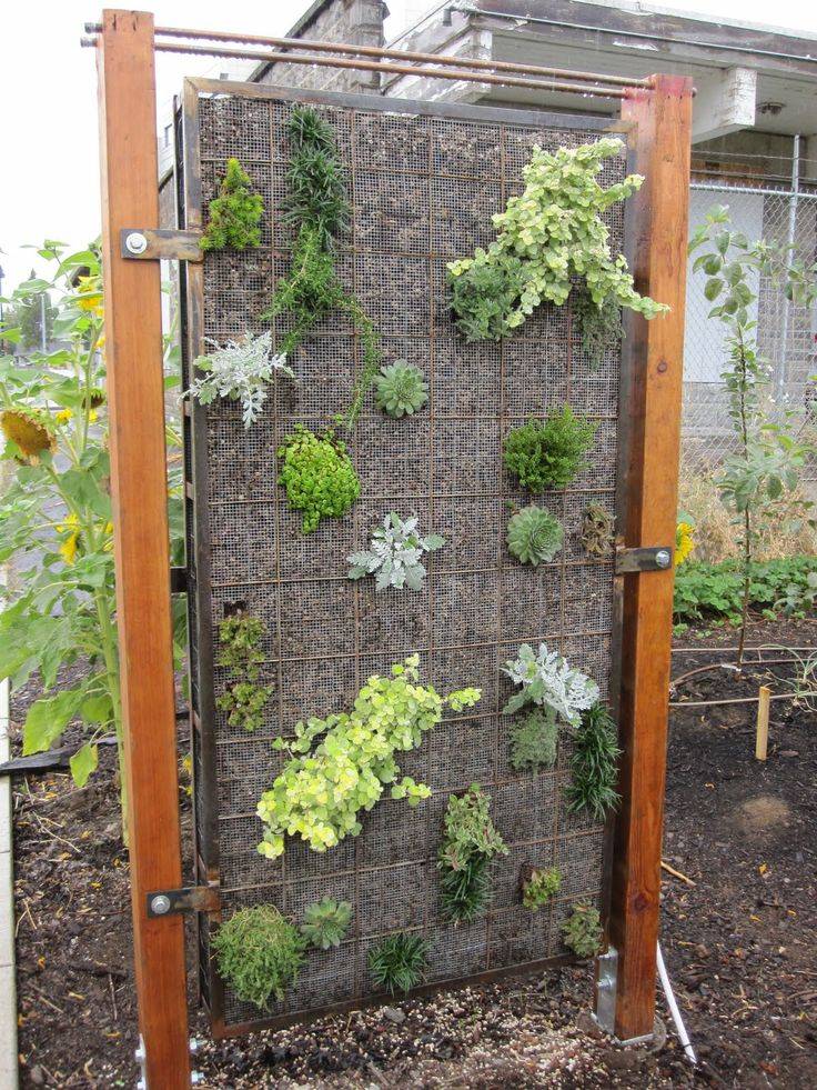 Small Garden Border Fence Bottle Garden