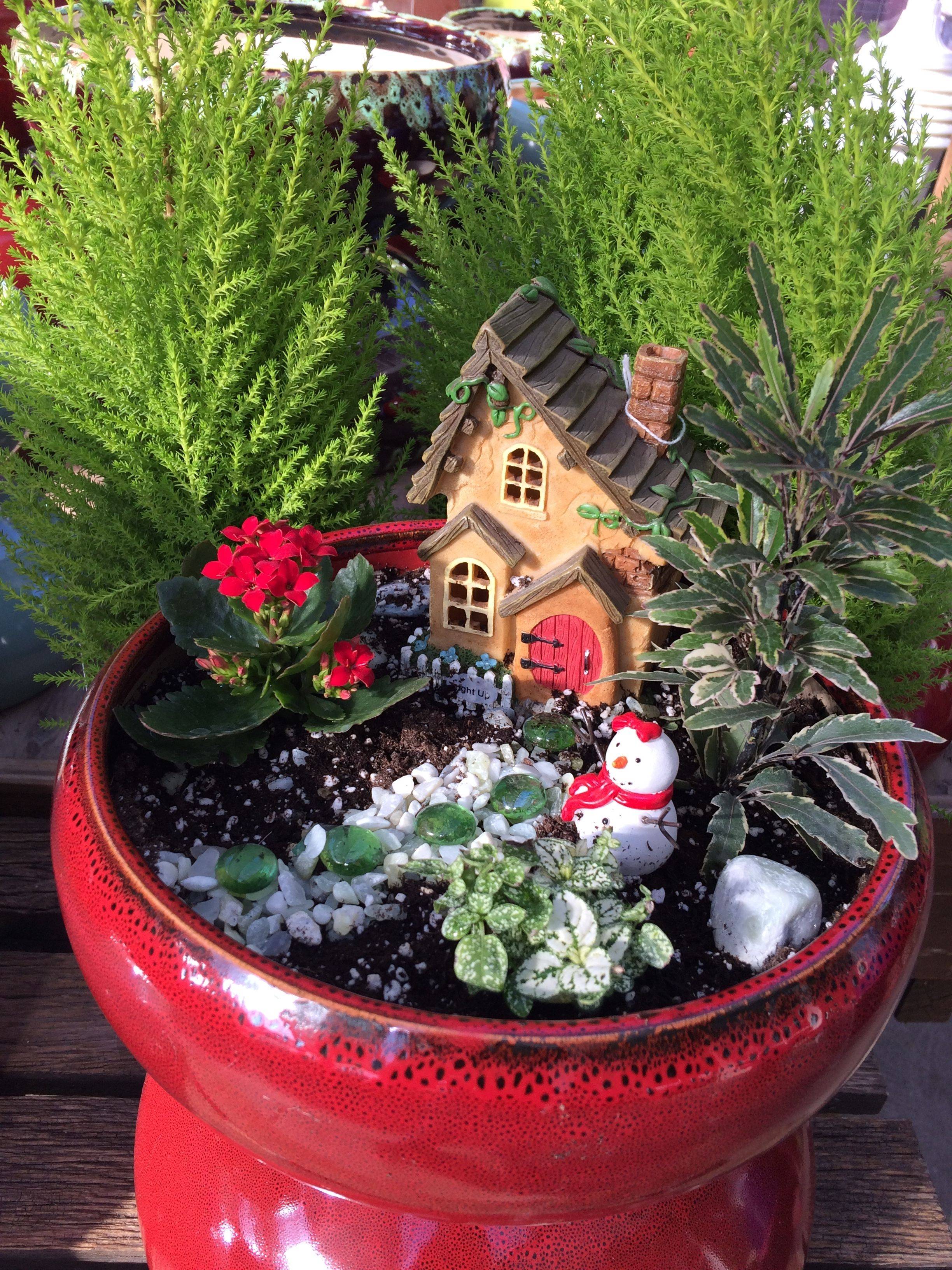 My Fairy Garden Christmas Fairy Garden
