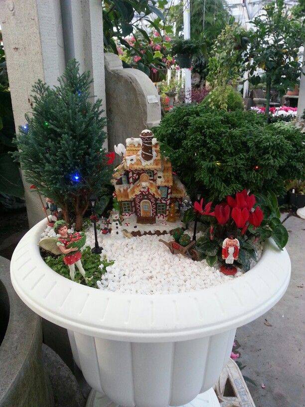 Landscape Garden Center Rochester Ny Grossmans Garden
