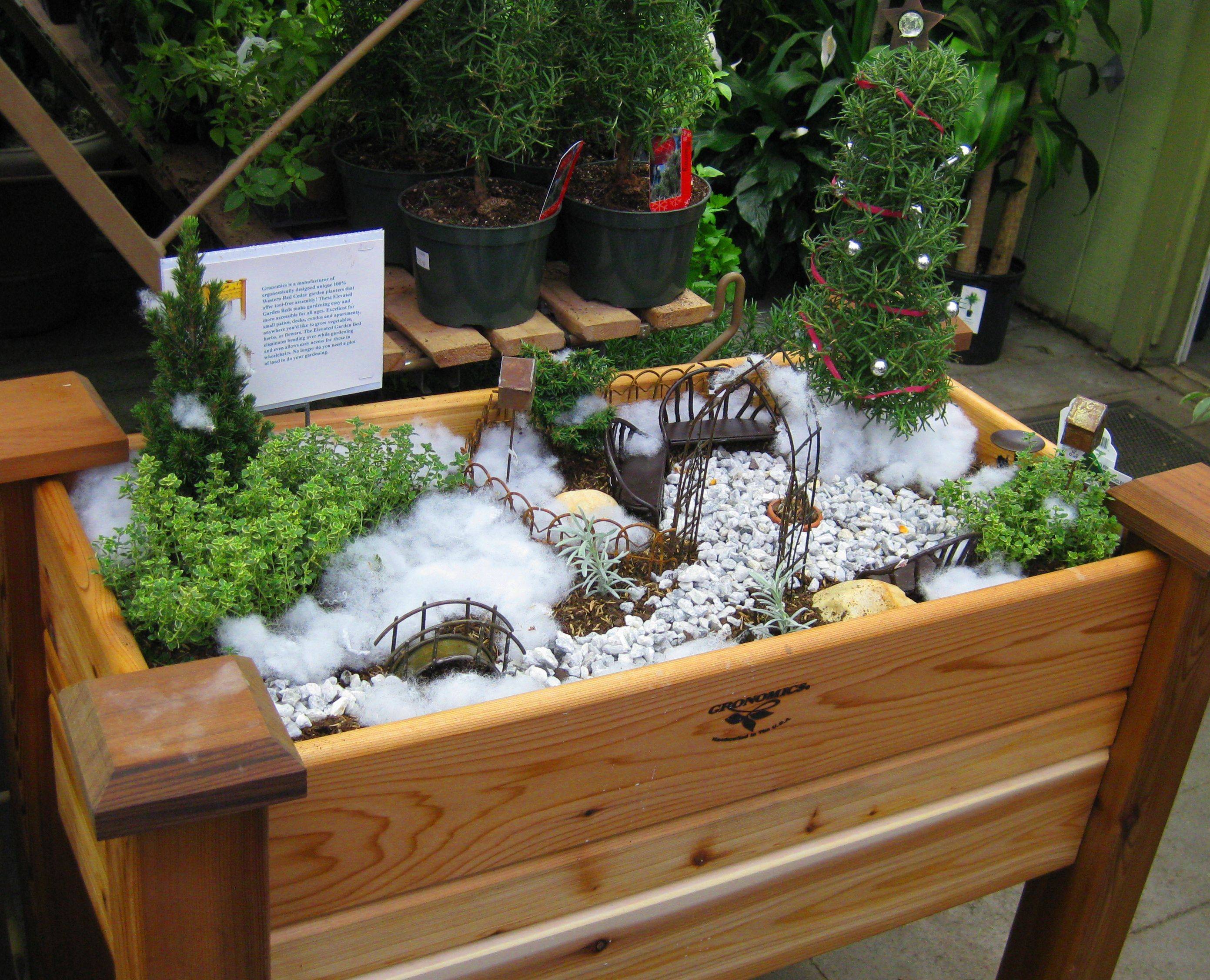 The Winter Fairy Garden
