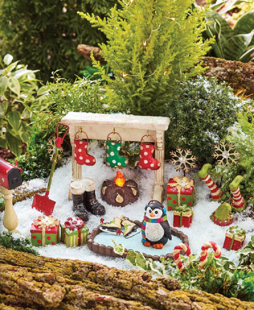 The Winter Fairy Garden