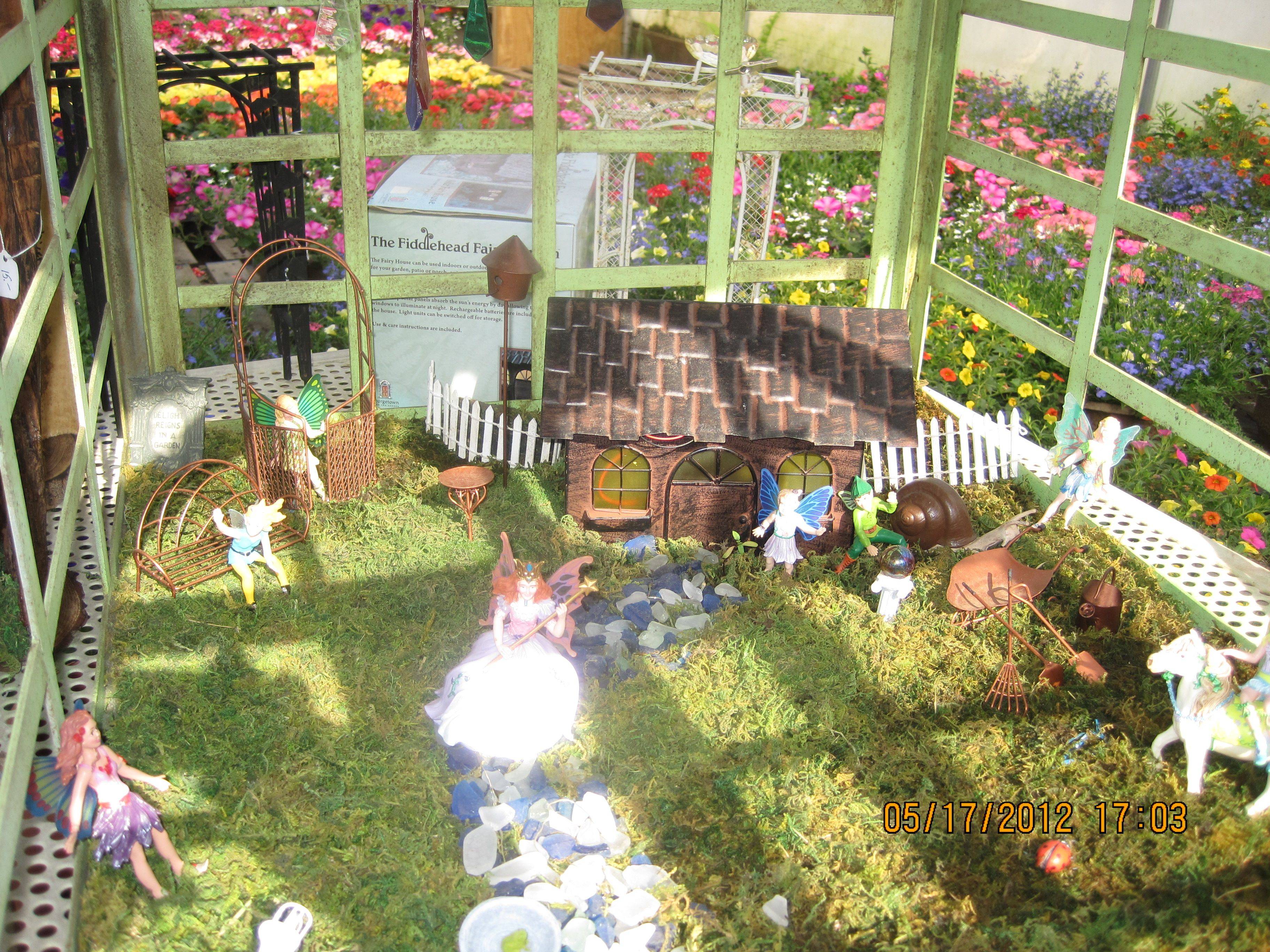 Greenhouse Fairy Garden
