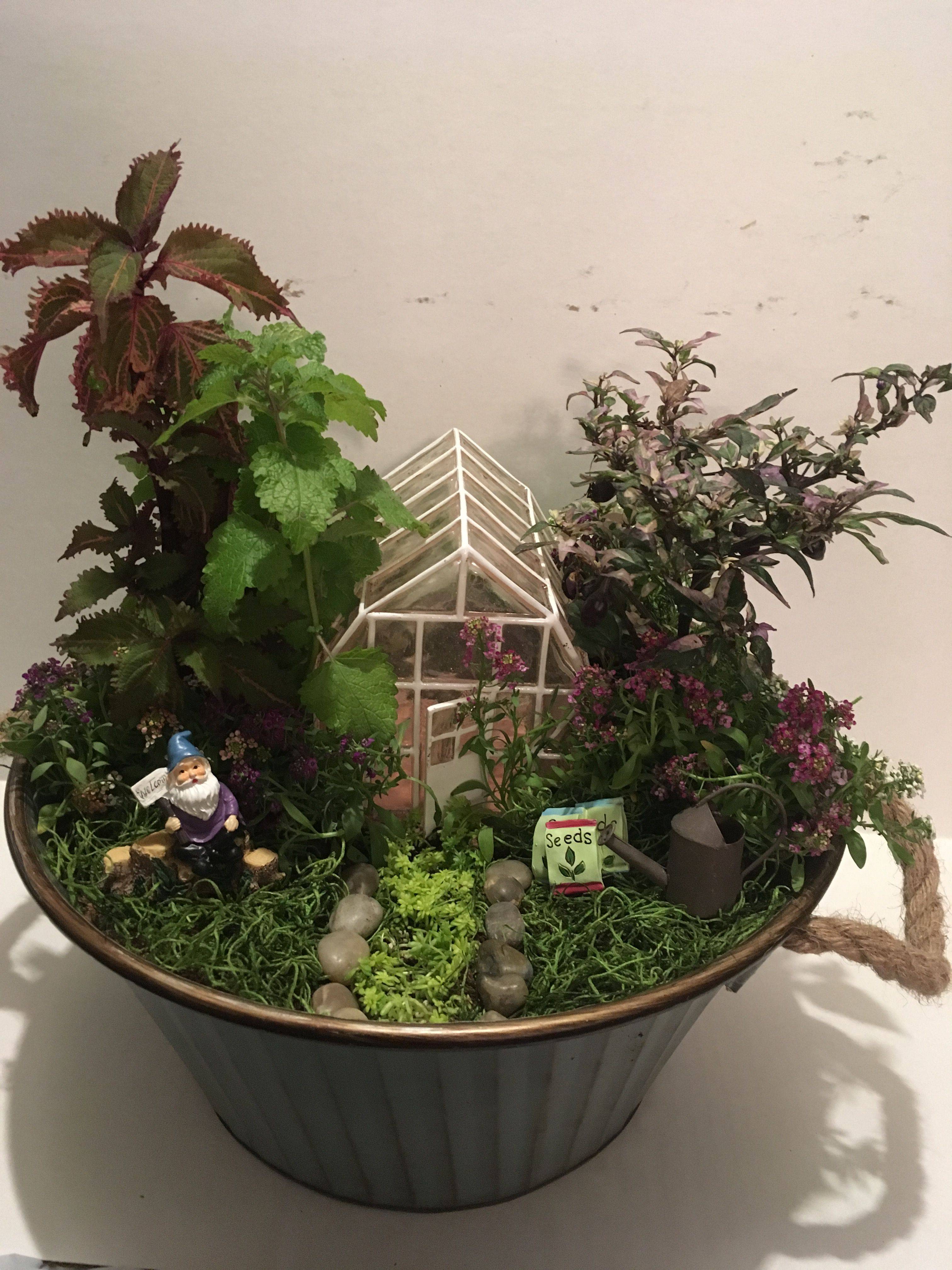 Jolly Lane Greenhouse