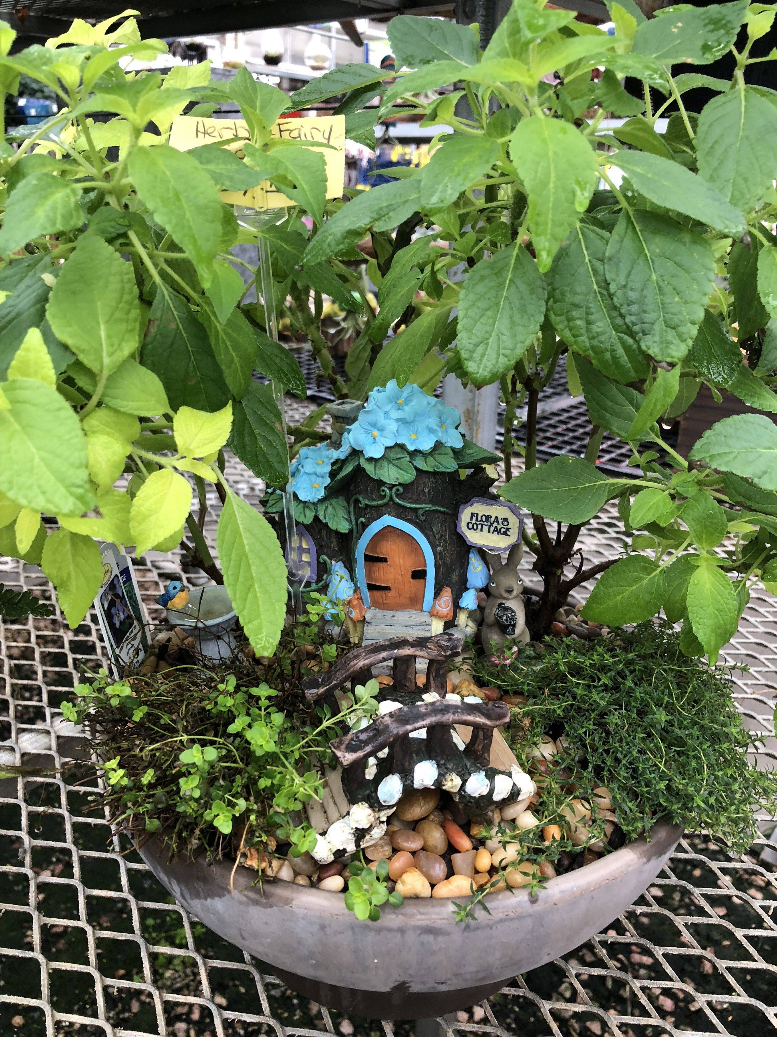 Miniature Greenhouse Miniature Greenhouse