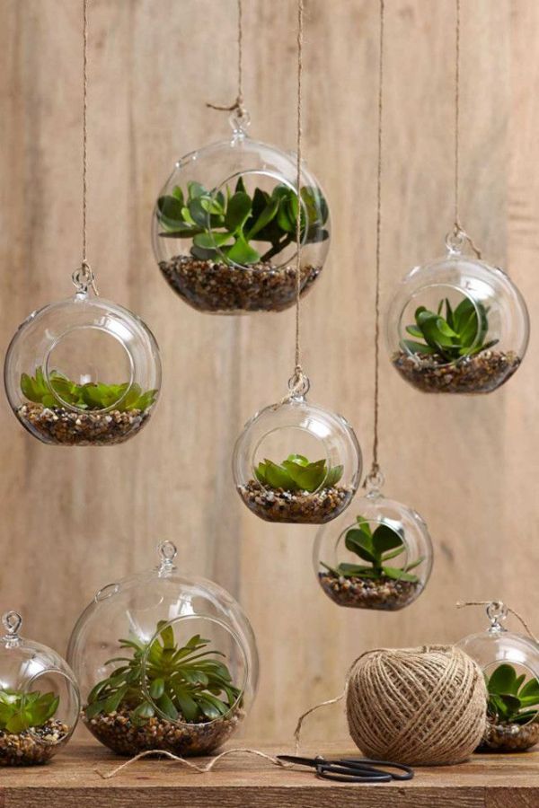 Amazing Indoor Garden Decorations Tips