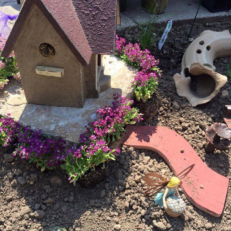 Fairy Garden Ideas