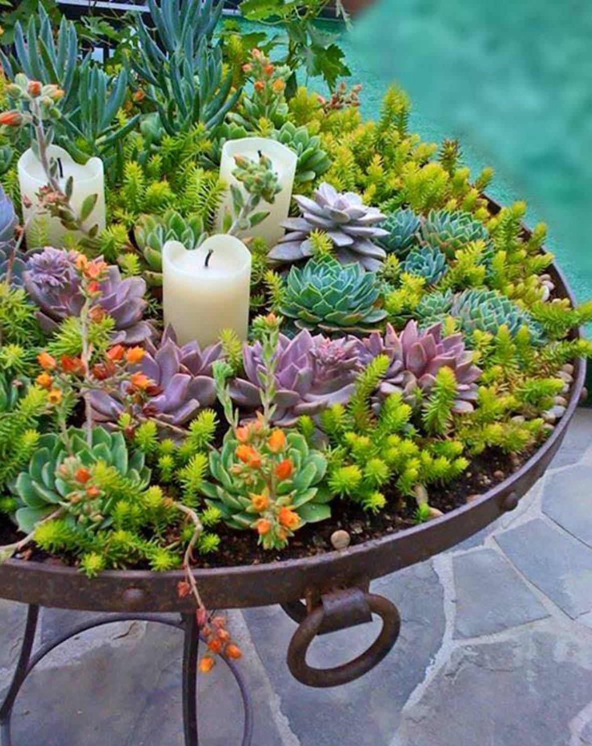 Stunning Diy Succulents Garden Decor Ideas Page